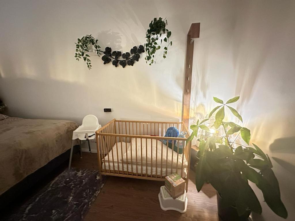 Ferienwohnung Marion Klagenfurt Zentrumsnaehe Klagenfurt am Wörthersee Extérieur photo